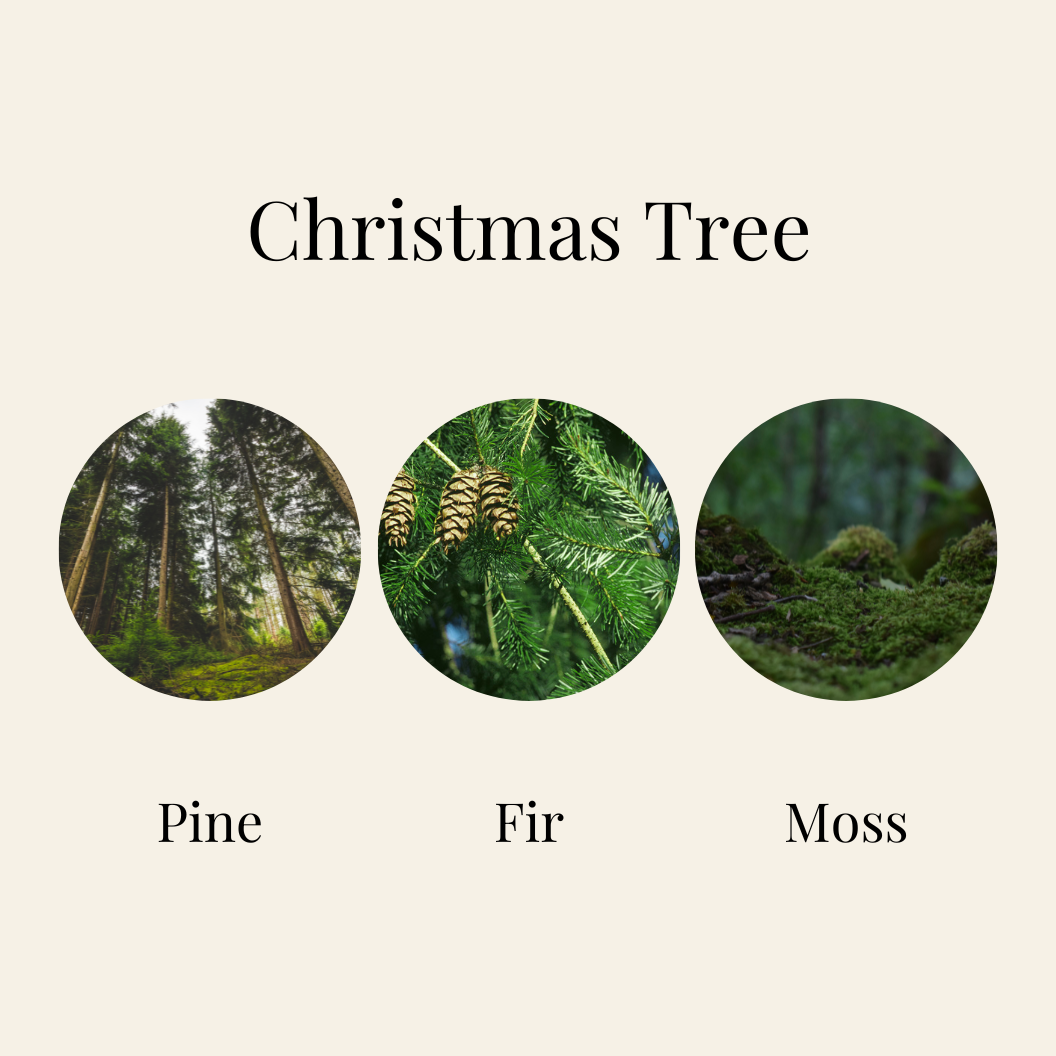 Christmas Tree – Pine & Woody Christmas Fragrance