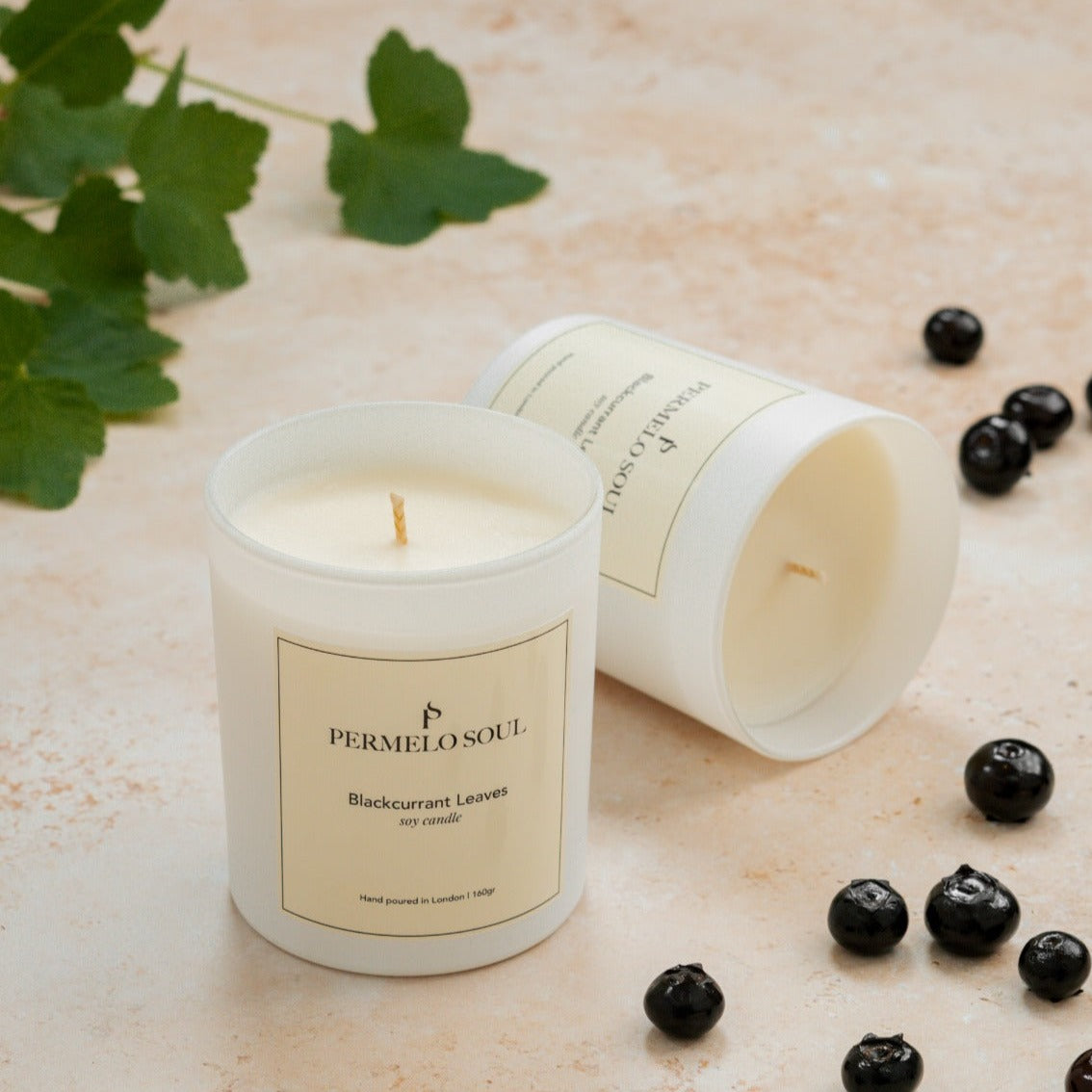 Blackcurrant Leaves - Soy Candle