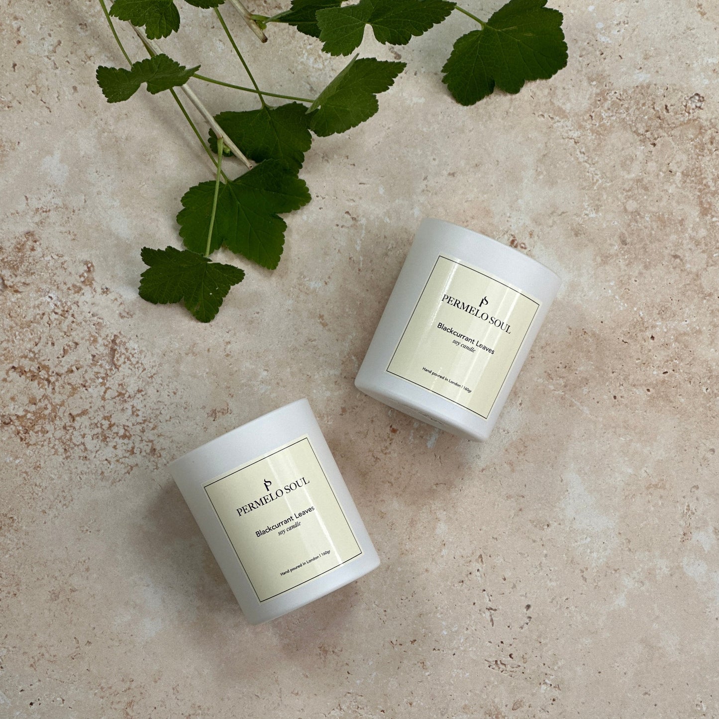 Blackcurrant Leaves - Soy Candle